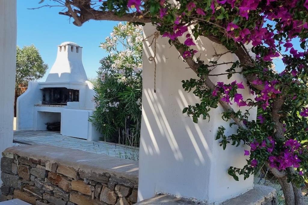 Villa Kalliopi Ambelas Paros Exterior foto