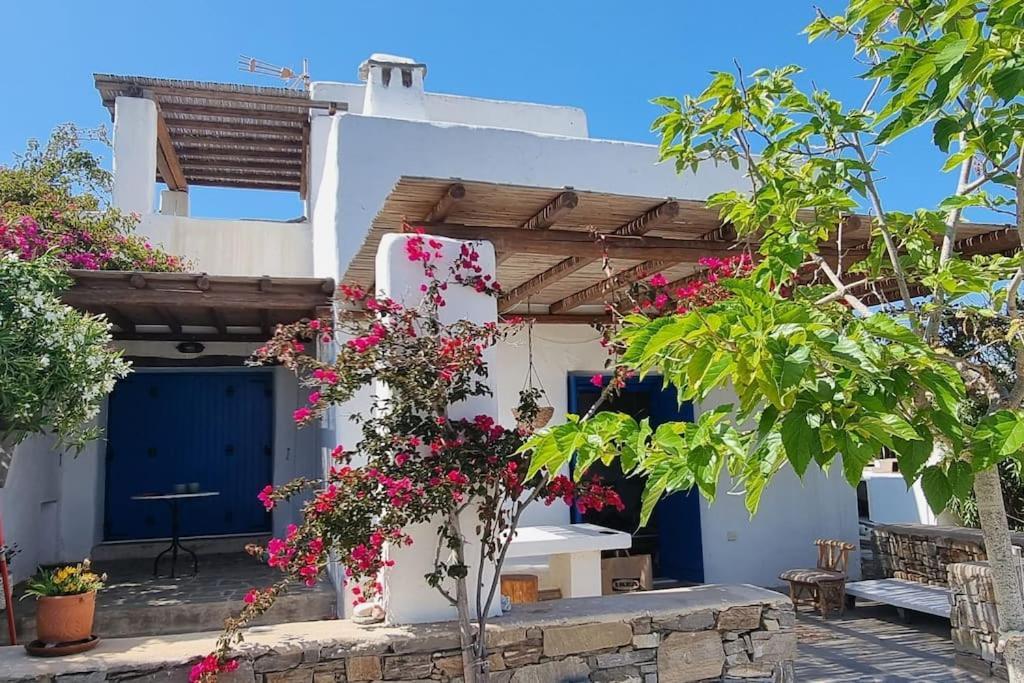 Villa Kalliopi Ambelas Paros Exterior foto